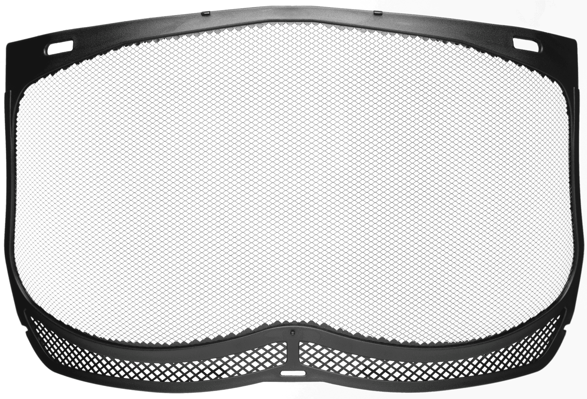 Visor image 1